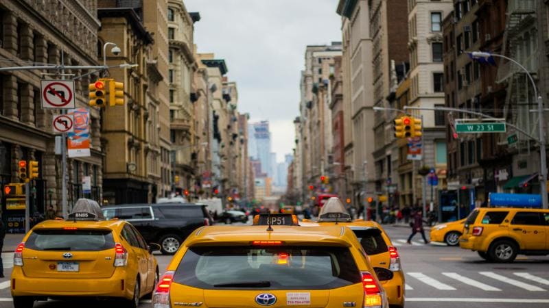 Best Pet Taxi Insurance Your Essential Guide to Coverage