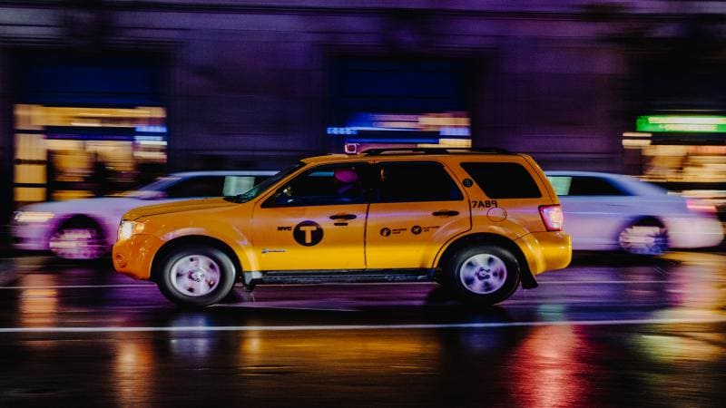 Best Pet Taxi Insurance Your Essential Guide to Coverage